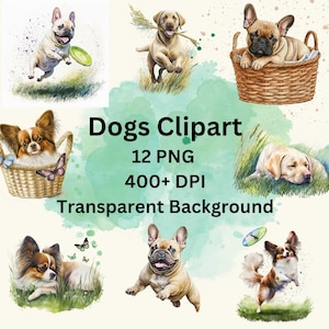 Mooie hondenrassen aquarel clipart, 12 PNG bundel, Labrador Retriever clipart, schattige Franse Bulldog clipart, Papillon hond clipart.