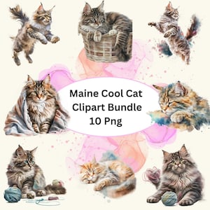 Beau Maine Coon chat aquarelle Clipart, 10 PNG Bundle, fabrication de cartes, Clip Art, téléchargement numérique, pépinière chat Clip art, chat Wall Art.