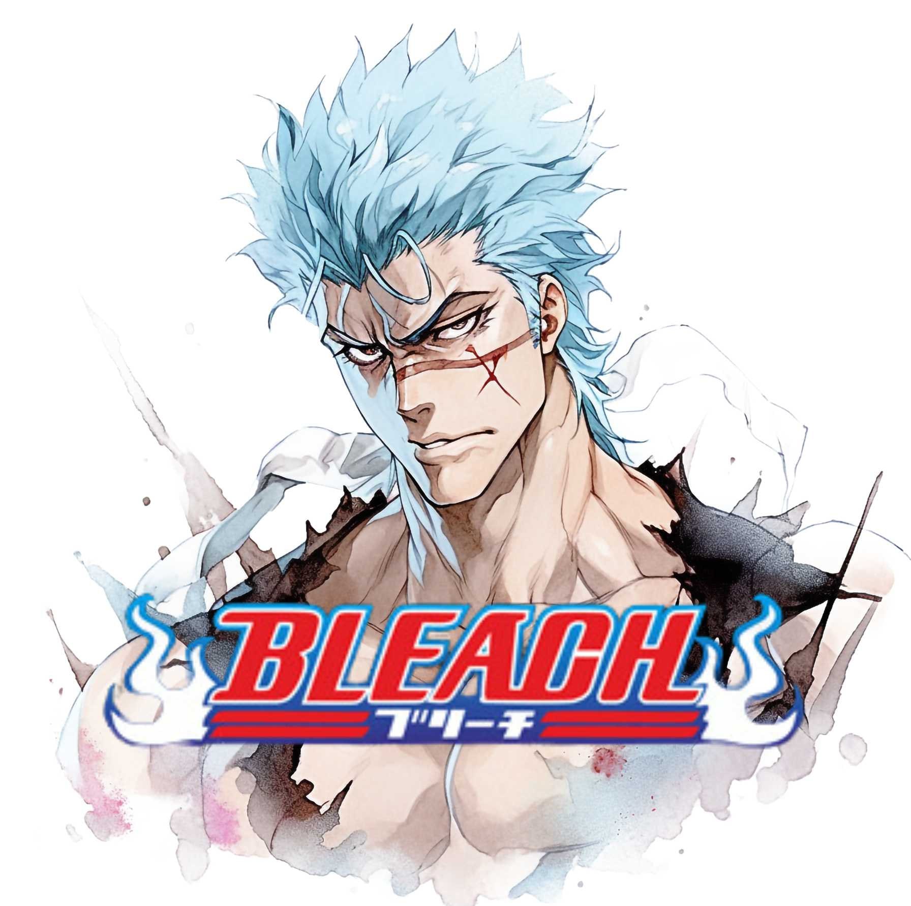 Bleach Anime Premium POSTER MADE IN USA - BLH007