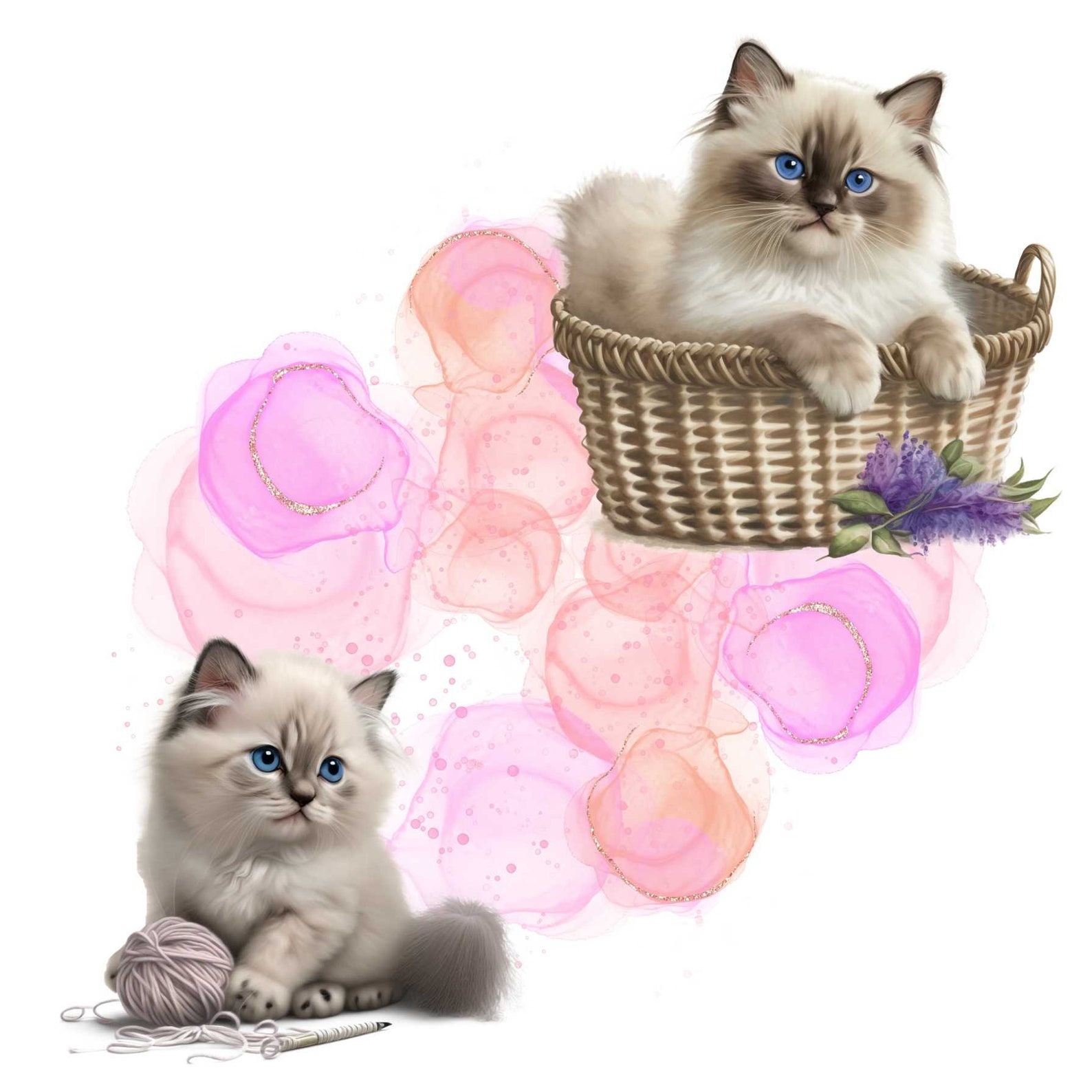 Fat Ragdoll Clip Set of 14 PNG Ragdoll Cat Watercolor Clip Art, Card Making, Clip Art ...