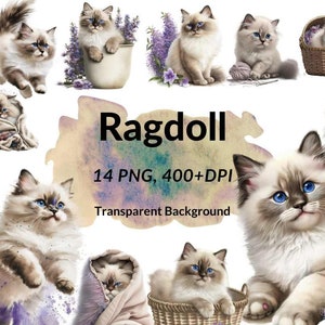 Set of 14 PNG Ragdoll Cat Watercolor Clip art, Card Making, Clip Art, Digital Download, Nursery Ragdoll Cat Clipart, Cat Wall Art.
