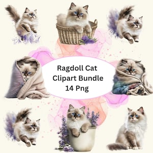 Beautiful Ragdoll Cat Watercolor Clipart, 14 PNG Bundle, Card Making, Clip Art, Digital Download, Nursery Ragdoll Cat Clipart, Cat Wall Art.