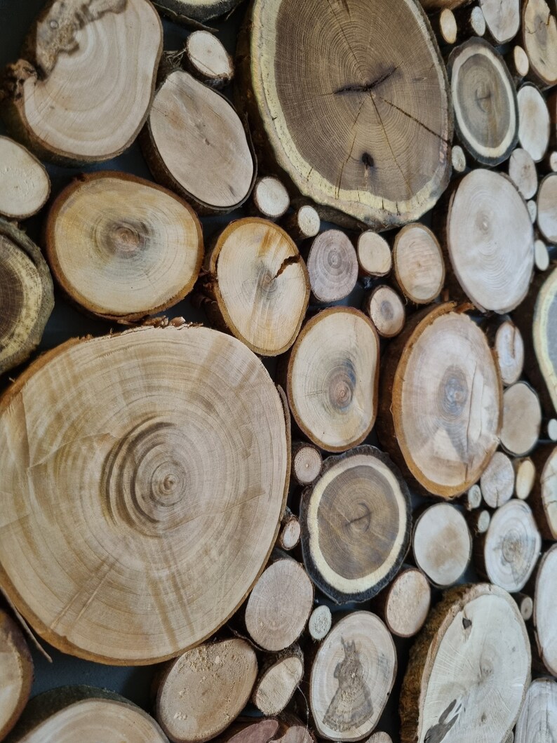 Round Wood Wall Art. Log Wall Art, Log Slice Wall Art, Wood Wall Decor