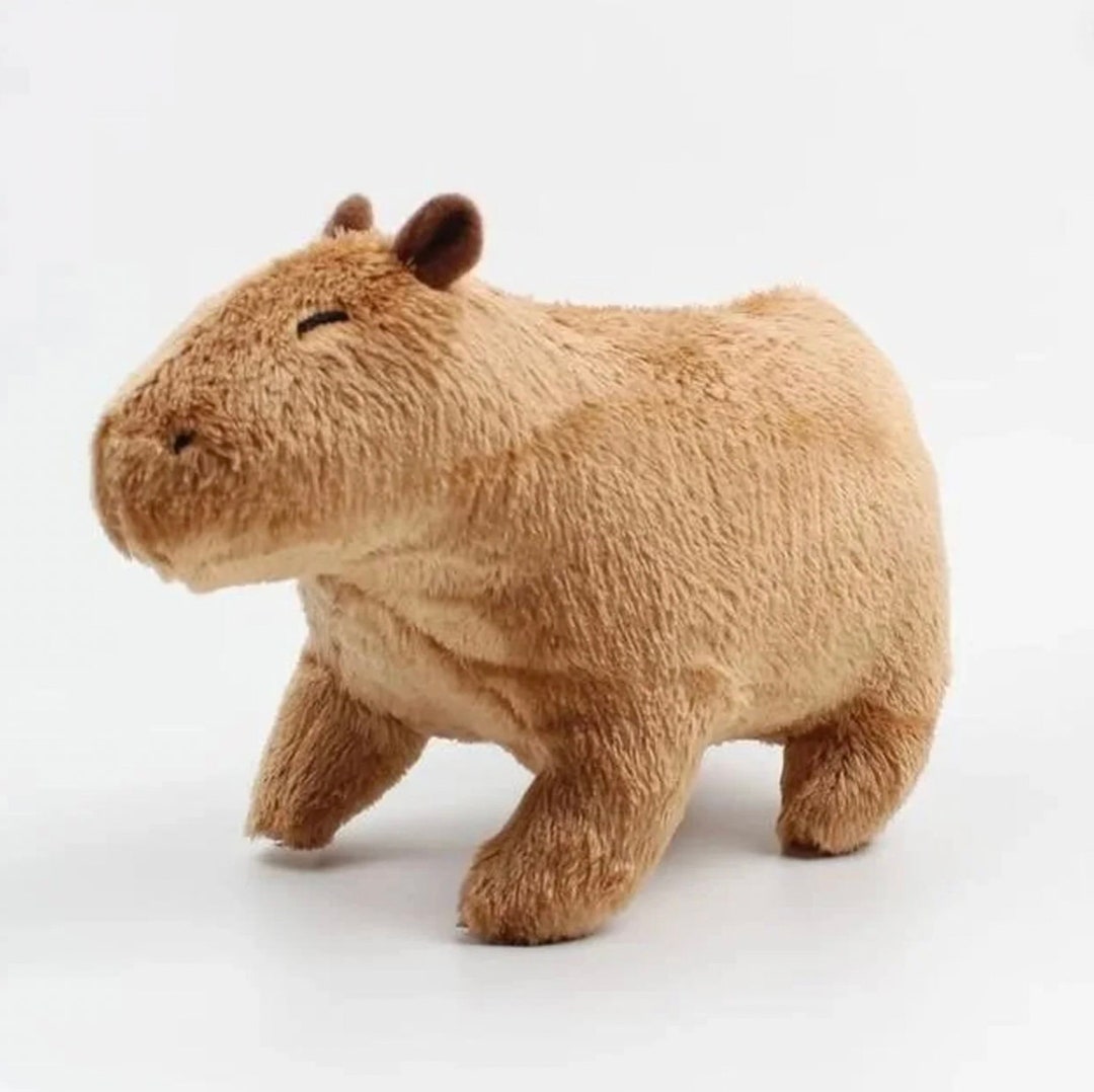 Capybara/capybara Soft Toy/stuffed Animal Etsy