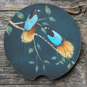May include: A round car coaster featuring a painting of two birds with blue wings, perched on a branch with green leaves. The birds have orange and yellow tail feathers against a dark teal background.
