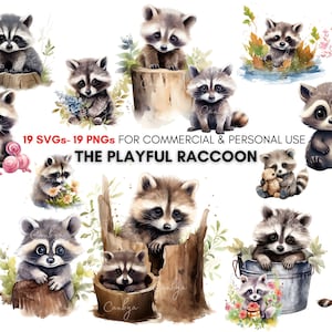 Watercolor cute baby raccoon png svg clipart bundle, nursery clipart, printable animal art, woodland baby animals instant dowload.