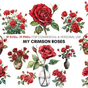 watercolor crimson vintage roses png svg Cliparts, Valentine Day Flowers, Red roses, digital download, Personal & Commercial.