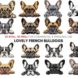 Süße und verspielte französische Bulldoggen-Svgs, Bulldoggen-Pngs, französische Bulldoggen-Weltraumkunst, 22 Bulldoggen-Svgs, 22 Bulldoggen-Pngs, Digitaldrucke.
