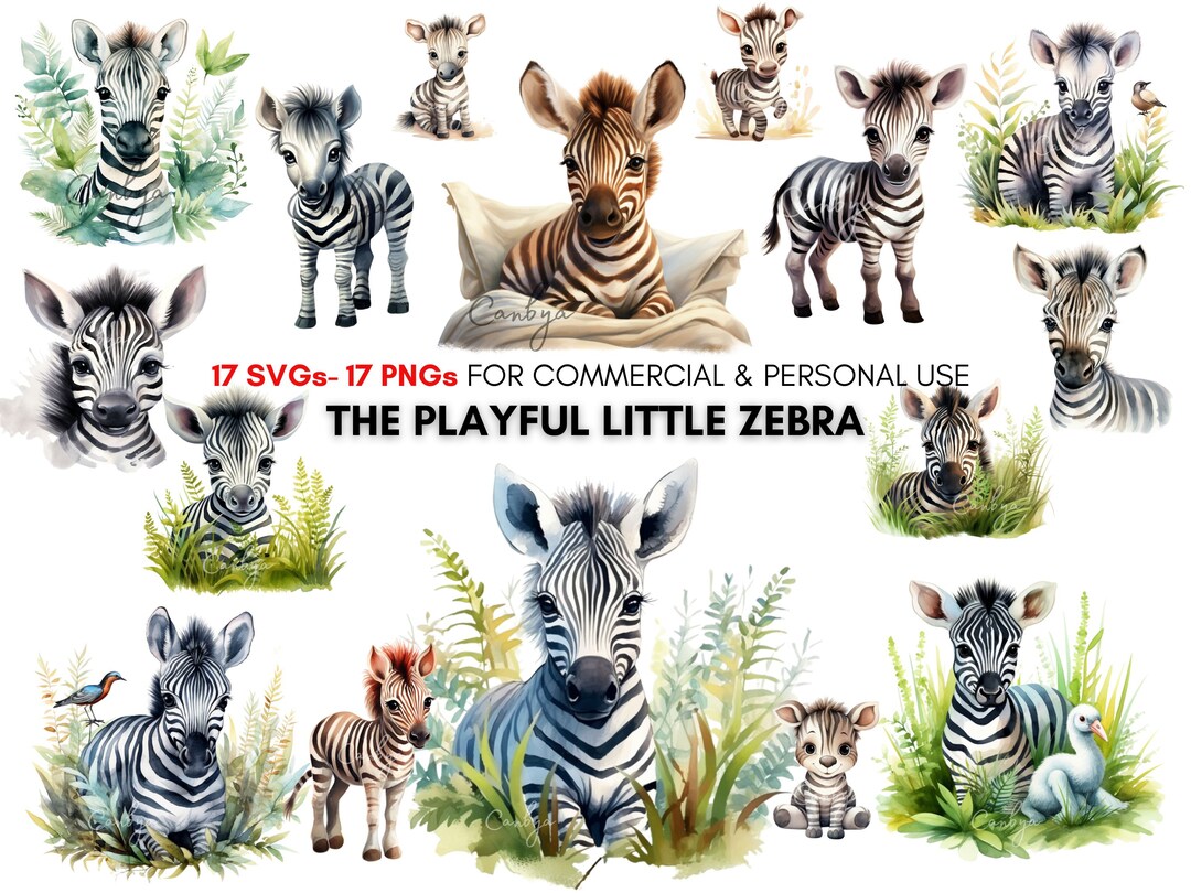 Watercolor Baby Zebra Png Svg Cliparts, Cute Safari Animals