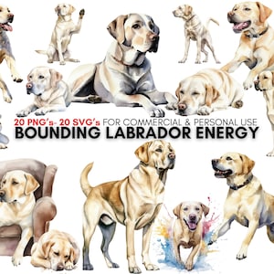 Labrador Retriever dog Cliparts, 20 Labrador Retriever svg 's, 20 Labrador Retriever png 's, watercolor clipart bundle, digital prints