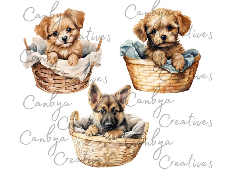 Watercolor Cute Puppy in Cozy Basket Png Svg Clipart Bundle, Cute Dog ...