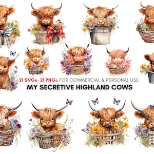 Watercolor Boho Highland Cows in baskets png svg Clipart bundle, Cute Clipart, Invitations, Digital Planners, Digital Download