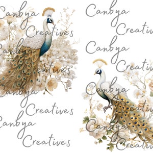 Op de afbeelding: Twee pauwen met witte en blauwe veren en gouden en groene staartveren zitten op witte en cr&egrave;mekleurige bloemen. De achtergrond is wit.