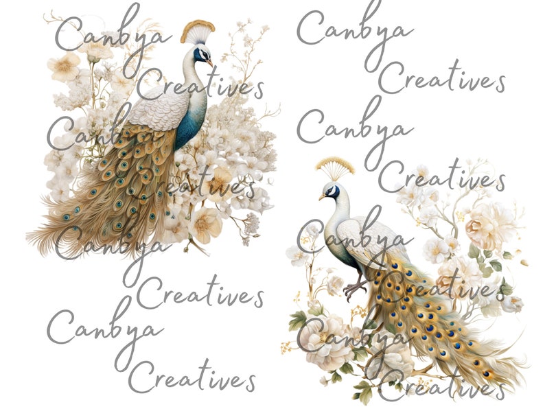 Op de afbeelding: Twee pauwen met witte en blauwe veren en gouden en groene staartveren zitten op witte en cr&egrave;mekleurige bloemen. De achtergrond is wit.