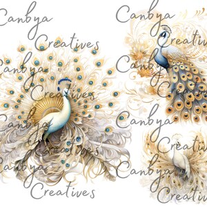 Op de afbeelding: Drie witte pauwen met gouden en blauwe accenten, met hun staarten uitgespreid in een decoratief patroon. De pauwen bevinden zich op een witte achtergrond met de tekst "Canbya Creatives" die over de hele afbeelding wordt herhaald.