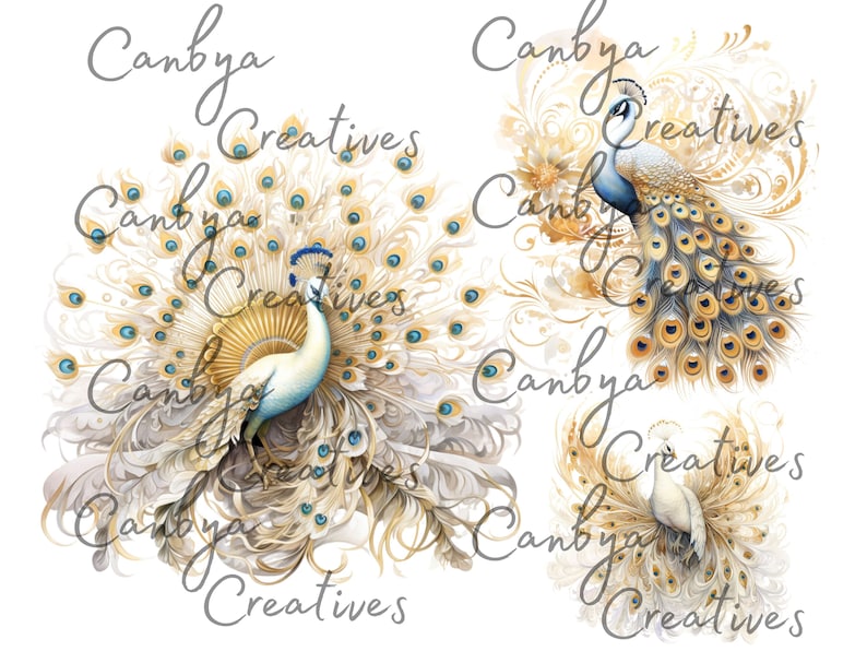 Op de afbeelding: Drie witte pauwen met gouden en blauwe accenten, met hun staarten uitgespreid in een decoratief patroon. De pauwen bevinden zich op een witte achtergrond met de tekst "Canbya Creatives" die over de hele afbeelding wordt herhaald.