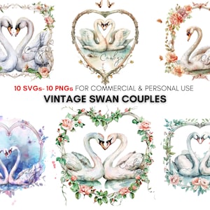 Acuarela vintage cisne pareja png svg impresiones digitales, diseños de sublimación, impresiones de arte animal para calcomanías, planificadores, diarios basura, tarjetas