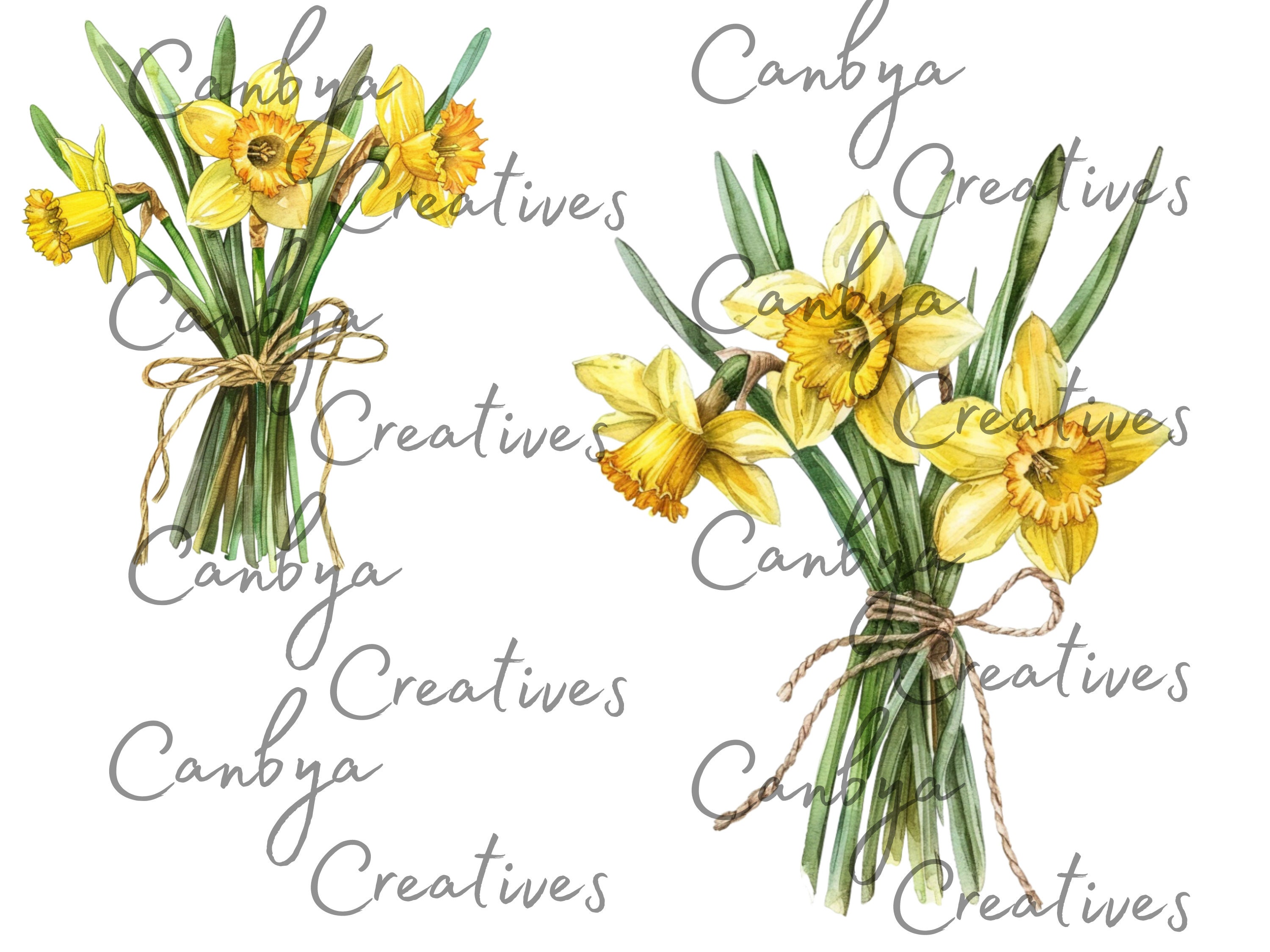 Watercolor Daffodil Png Svg Clipart Bundle, Spring Clipart, Western Svg ...