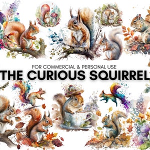 The curious squirrel watercolor, Forest animals, Clipart Watercolor for Commercial and Personal Use - 24 Transparent PNGs, Upscaled Images.