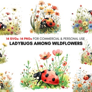 Watercolor ladybugs among Wildflower png svg Spring Cliparts, Digital botanical prints, Floral prints, Animal lover prints, Commercial Use..