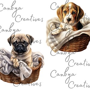 Watercolor Cute Puppy in Cozy Basket Png Svg Clipart Bundle, Cute Dog ...