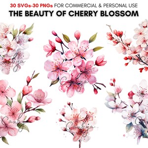 Watercolor cherry blossom flower svg png clipart bundle, floral digital prints, botanical art for invitations, planners, junk journals...