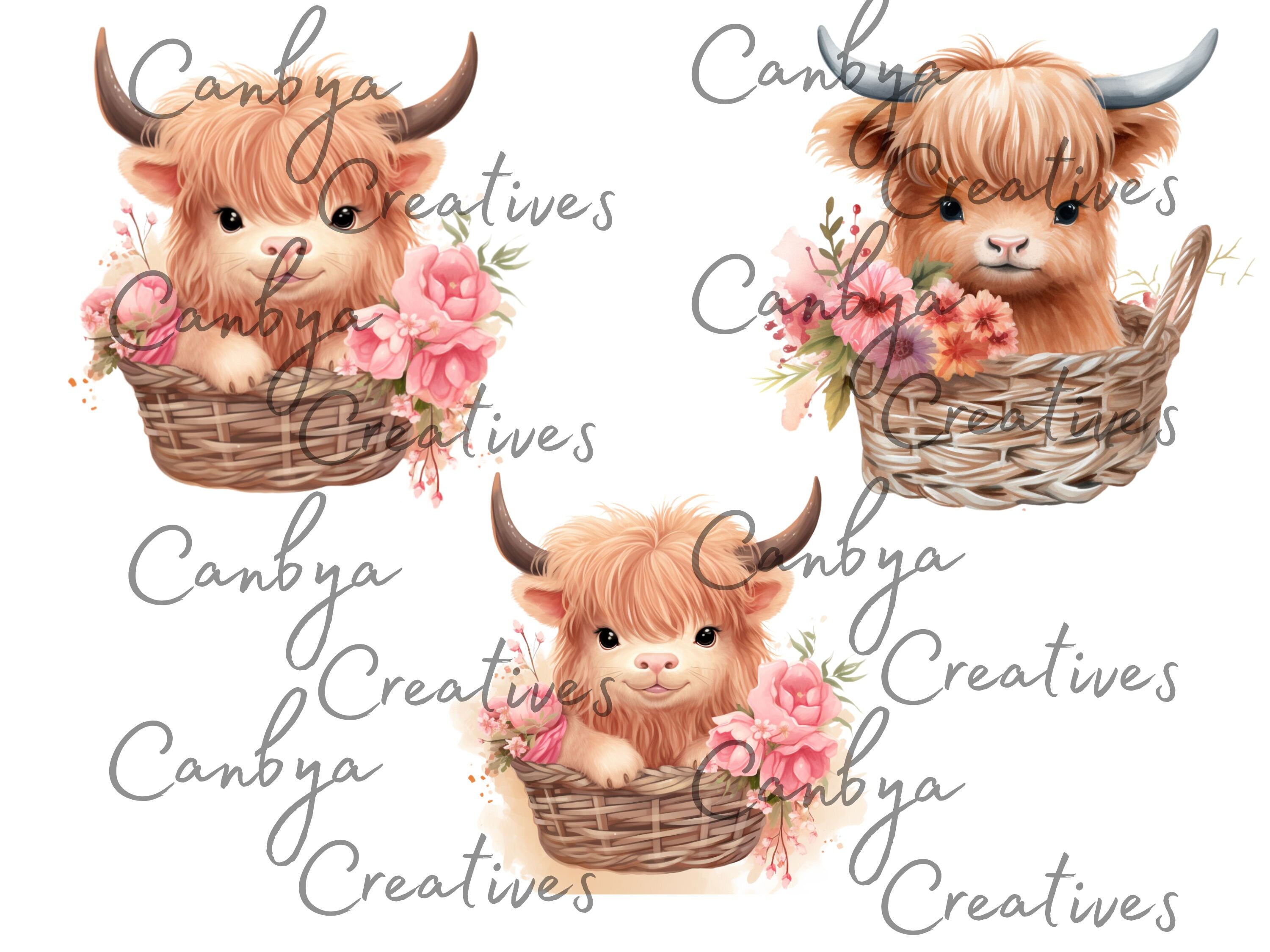 Watercolor Boho Highland Cows in Baskets Png Svg Clipart Bundle, Cute ...