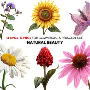 Watercolor realisitc flowers png svg Cliparts, Spring clipart, floral prints, flower art, Digital botanical prints, Personal & Commercial.