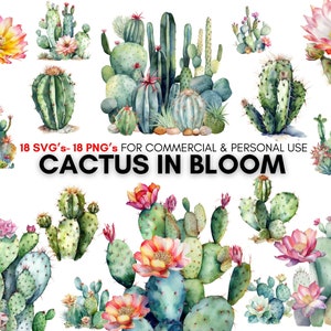 Watercolor cactus, cactus clipart, 18 cactus svg 's, 18 cactus png 's, digital prints, instant download