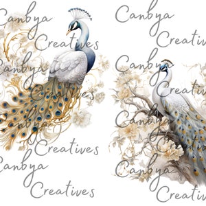 Op de afbeelding: Twee witte pauwen met blauwe en gouden staartveren zitten op takken met witte bloemen. De pauwen zijn omringd door de tekst "Canbya Creatives".