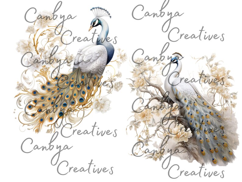 Op de afbeelding: Twee witte pauwen met blauwe en gouden staartveren zitten op takken met witte bloemen. De pauwen zijn omringd door de tekst "Canbya Creatives".