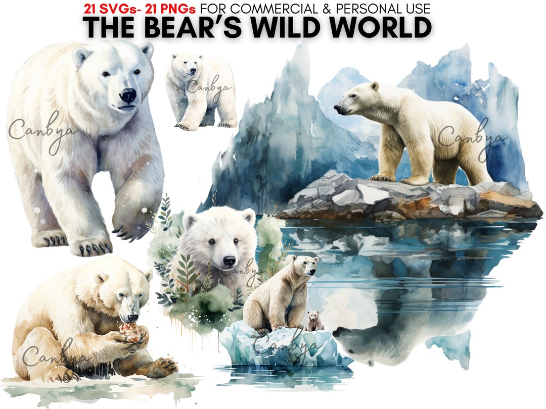 Watercolor Wild Polar Bear Svg Png Digital Clipart Bundle, Winter ...