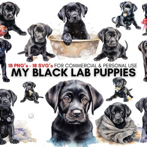 Watercolor baby black lab, Labrador Retriever dog svg png clipart bundle, digital prints for dog lovers, junk journals, stickers, planners..