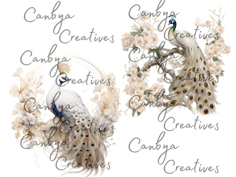 Op de afbeelding: Twee witte pauwen met gouden en blauwe veren zijn afgebeeld in aquarelstijl. E&eacute;n pauw zit op een tak met witte bloemen, terwijl de andere is omringd door witte bloemen en gouden takken.