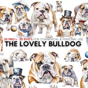 Bulldog art, 20 english bulldog png &#39;s, 20 english bulldog svg &#39;s,watercolor clipart bundle, dog clipart, digital prints, instant download