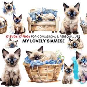 May include: A digital illustration set of 17 watercolor Siamese cats in various poses. The cats are depicted in different settings, including a wicker basket, a blue armchair, and a blue and white striped blanket. The illustrations are perfect for creating digital designs, crafts, and other creative projects.