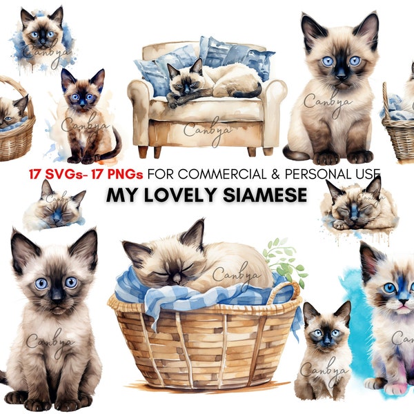 watercolor cute siamese kittens png svg clipart bundle, lazy Siamese kittens Digital Download.