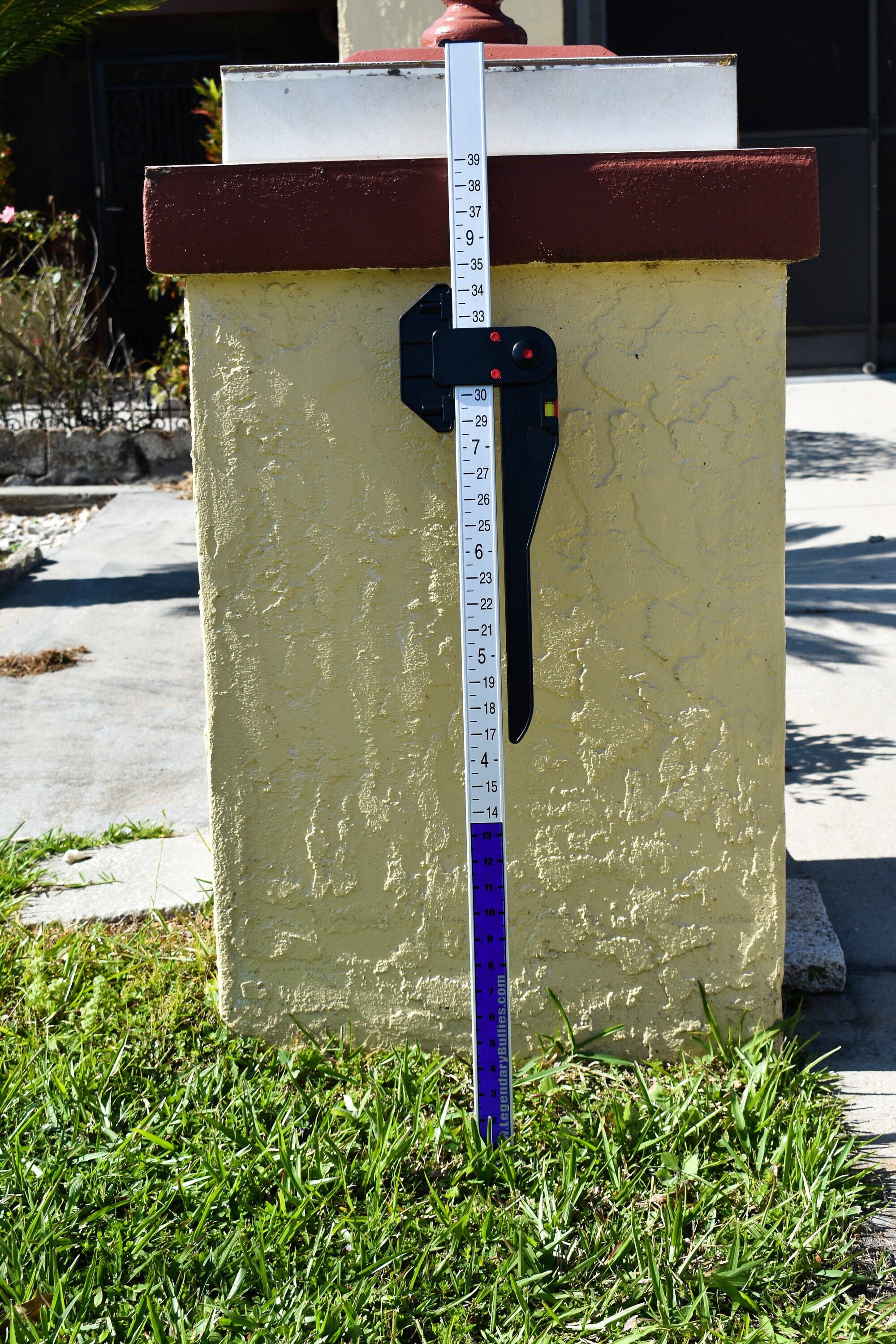 Dog Measuring Wicket Etsy