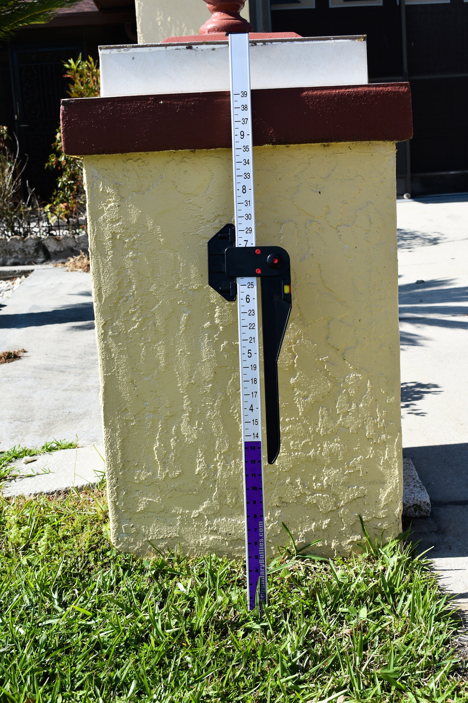 Dog Measuring Wicket Etsy