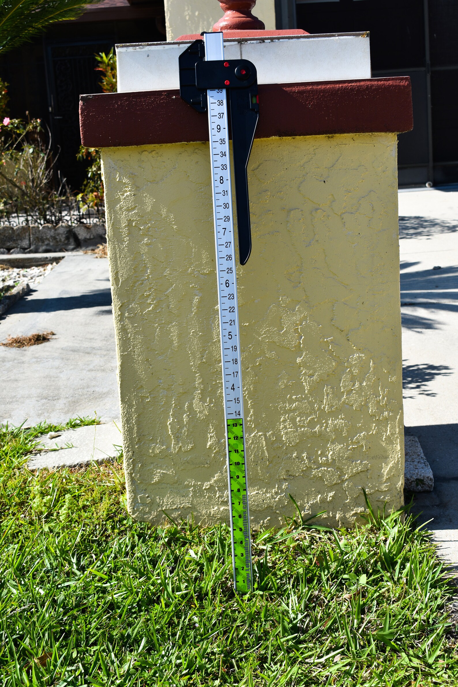 Dog Measuring Wicket Etsy