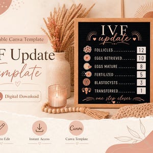 Può includere: Un modello modificabile per aggiornamenti FIV con una lavagna nera, testo bianco e icone. La lavagna elenca categorie come follicoli, ovociti prelevati, ovociti maturi, fecondati, blastocisti e trasferiti con caselle per i dati.