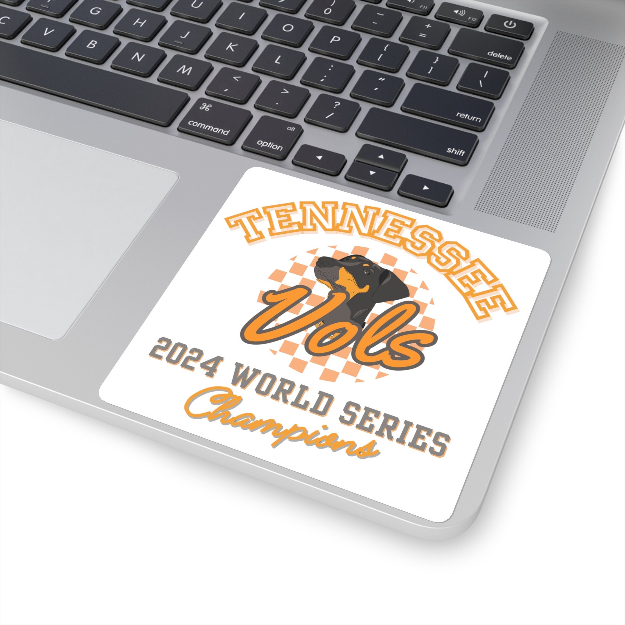 Will This Recruit Make The Lady Vols National Champs? - vgoe433