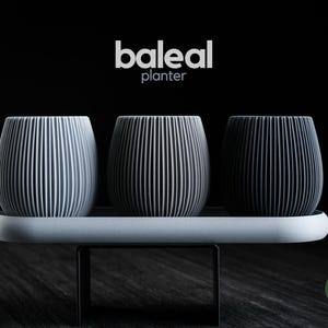 May include: Three Baleal planters with a vertical ribbed texture, arranged in a gradient from light gray to dark gray on a light gray rectangular tray. The text baleal planter is centered above, and a small green h3liø design logo is in the corner.