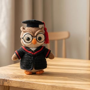 Op de afbeelding: Een gehaakte uilfiguur met een zwarte afstudeerhoed met een rode kwast, een zwarte toga met rode bies en een ronde bril. De uil is bruin, beige en oranje en staat op een houten oppervlak.