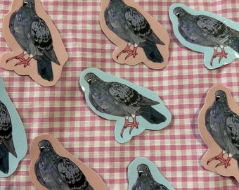 Pigeon sticker