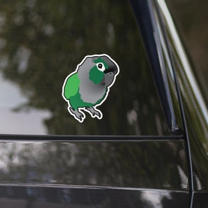 Green Cheek Conure Parrot Looking Innocent Cartoon Bubble-free stickers