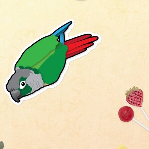 Green Cheek Conure Cartoon Illustration Bubble-free stickers