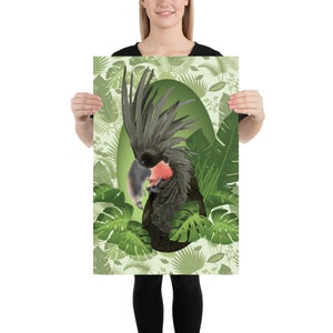 Illustrated Black Palm Cockatoo Parrot with Tropical Foliage Poster