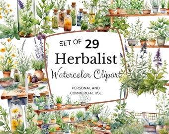 Herbalist Clipart | Digital Clipart | Materia Medica Template | Watercolor Clipart | Medicinal Herbs Junk Journal | Instant Download