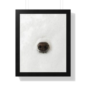 Könnte beinhalten: Gerahmter Druck mit einer Nahaufnahme der Hundenase, umgeben von weißen Blasen. Die Hundenase ist braun und strukturiert und kontrastiert mit den glatten, weißen Blasen. Das Kunstwerk ist in einem schwarzen Rahmen.